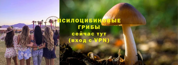 a pvp Баксан